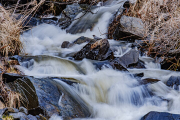stream in the forest