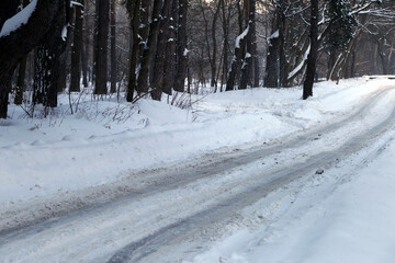 road in the snow near the forest
