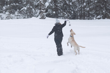 person with dog