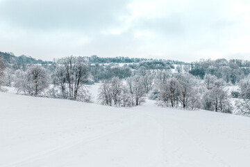 Fototapeta premium snow covered trees