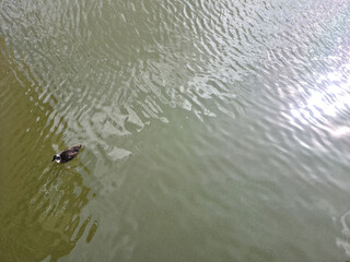 Guernsey Channel Islands, St Saviours Reservoir