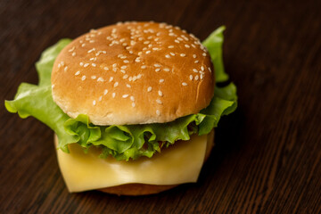 Burger and fries on a plate. Home-made fast food.