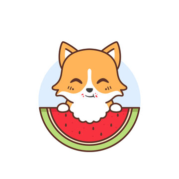 cute happy corgy eating watermelon
