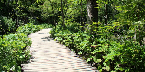 Parco Nazionale di Plitvice in Croazia