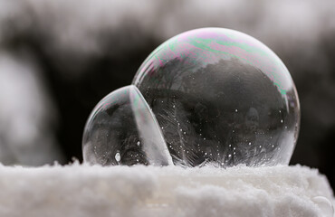 Two frozen soap bubbles freezing of low temperature under zero on snow