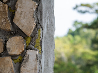 texture with blur background