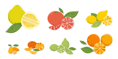 Set of citrus fruits. Ripe juice vitamin fruits: Pomelo, Grapefruit, Lemon, Oranges, Lime, Mandarins, Kumquat