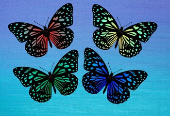 Obraz na płótnie Canvas set of butterflies pattern