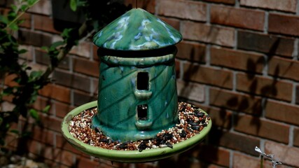 Obraz premium Bird feeder up close