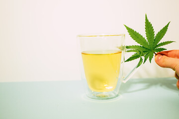 Cannabis tea in transparent cup. Medical marijuana leaf. Homeopathic herb. Stress relief therapy. Copy space 