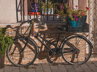 Fototapeta na wymiar Bicicleta antigua 