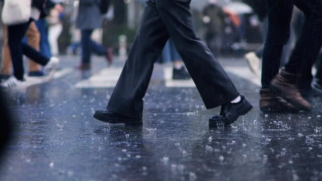 渋谷スクランブル交差点に降る激しい雨