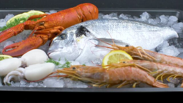 fresh bream, lobster, shrimps and cuttlefish on ice with lemon slice