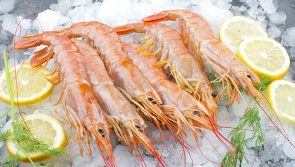  fresh shrimps on ice with salad and lemon slice