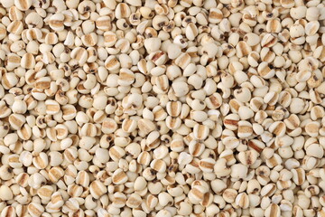 Close up top view Job’s tear (Adlay millet or pearl millet) background