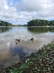 Guernsey Channel Islands, St Saviours Reservoir,
