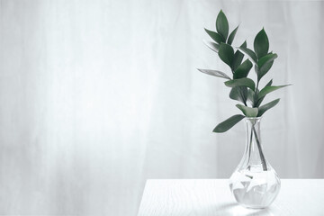 Glass vase with green branches on white table indoors, space for text