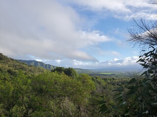 View from a Hawaiian hiking trail