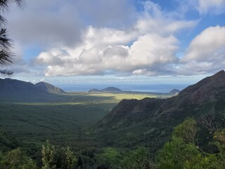 Fototapeta premium ocean view from a hiking trail in Hawaii