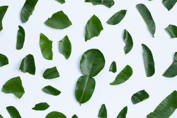 Bergamot kaffir lime leaves herb fresh ingredient isolated on white