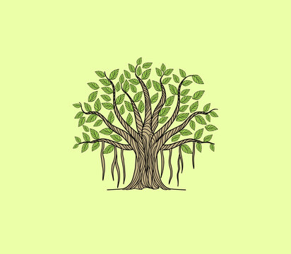 Colorful banyan tree vector illustration