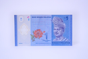 One Malaysian ringgit paper bill