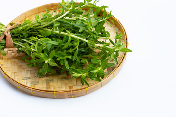 Fresh paddy rice herb on white background.