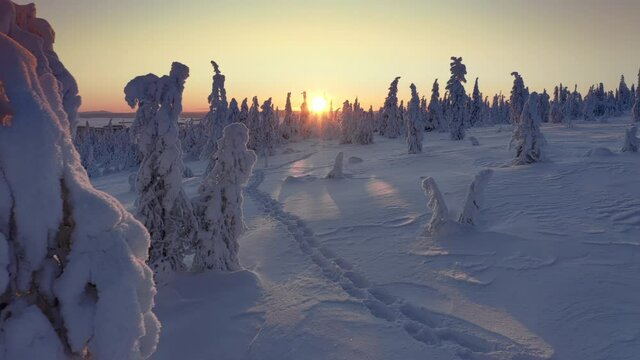 Sunset through snow covered forest hill of Riisitunturi National Park, Lapland, Finland, aerial drone shot