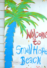 painted Beach hut Shanklin Isle of Wight Welcome toSmall Hope Cover  palm tree and writing