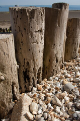 Wooden sea groynes isle of wight close up pebbles