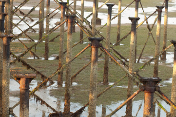Poles supports for old pier ryde isle of wight 