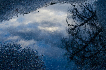 Reflejo
