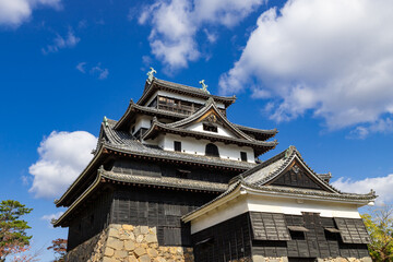 晴天の国宝松江城天守閣　島根県松江市