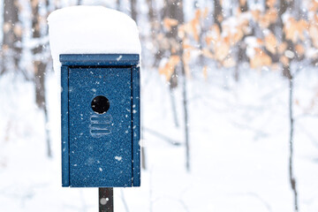 Blue birdhouse in a forest during snowfall