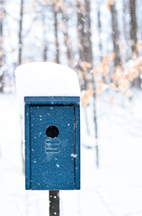 Blue birdhouse in a forest during snowfall