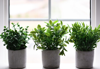 Three artificial houseplants on a windowsill