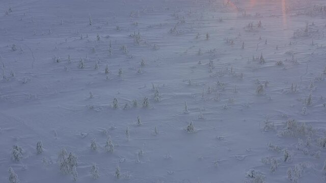 Sunset reveal over snow covered spruce tree forest in Riisitunturi National Park, Lapland, Finland, aerial drone shot