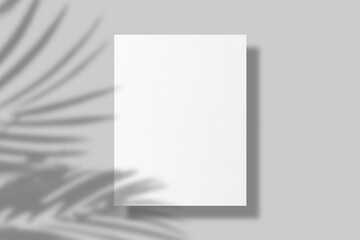 Realistic blank US letter flyer brochure for mockup. Paper or poster illustration with shadow overlay. 3D Render.