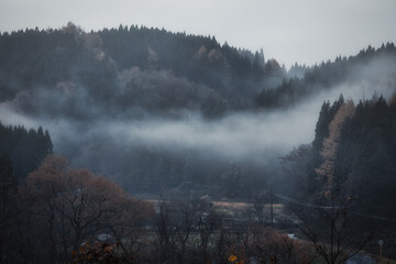 日本の霧の森の写真素材シリーズ