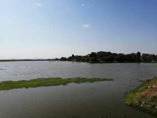 lake in the summer