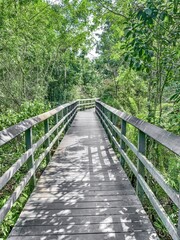 path in Fern Forest Nature Center
