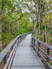 path in Fern Forest Nature Center