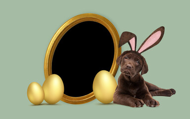 a chocolate labrador puppy with furry Easter ears