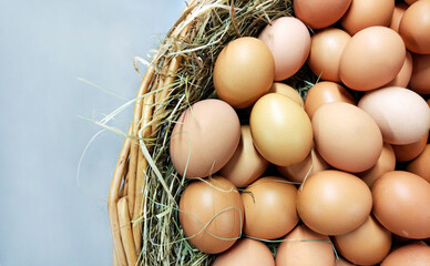 chicken eggs in wicker basket with straw on light gray background, closeup, free space for text left