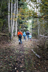 Family hiking in the woods