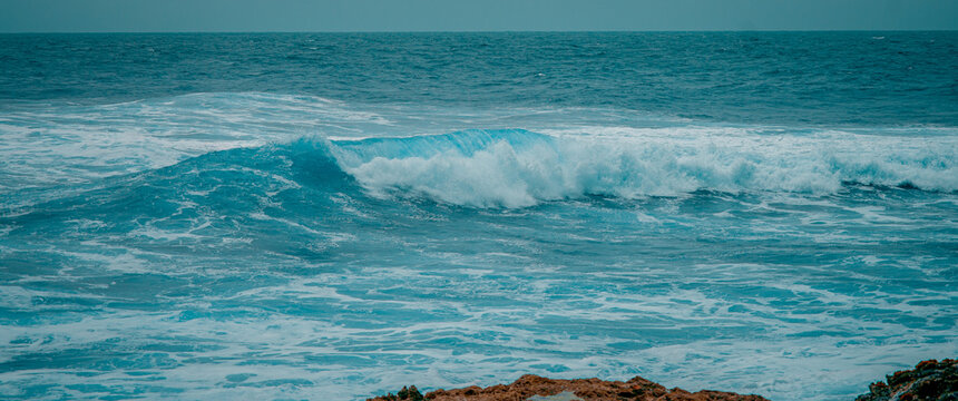 OLAS