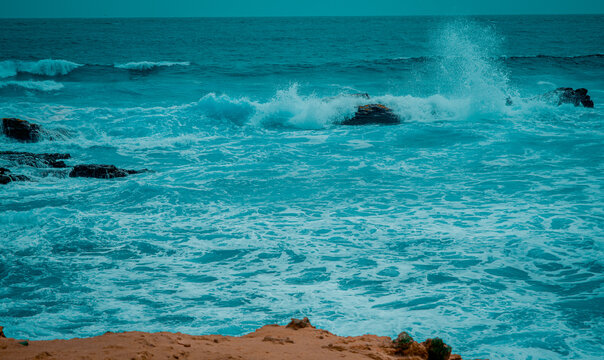 OLAS