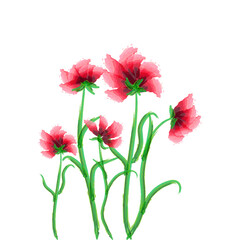 red poppies in vintage style. Spring bouquet. Vintage pattern. Vector nature graphic background. Stock image. EPS 10.