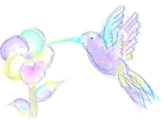 white dove with a heart