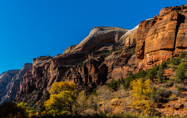 Fototapeta na wymiar The High Rock Walls of Zion Canyon, Zion National Park, Utah, USA